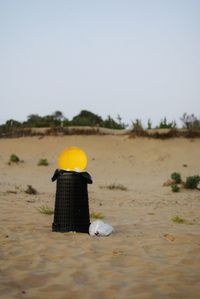 Rear view of hat on beach against clear sky