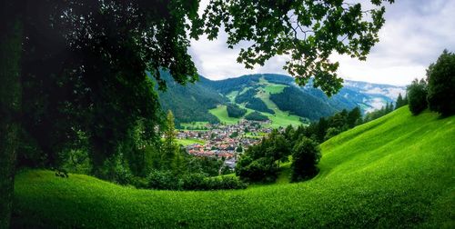 Scenic view of landscape
