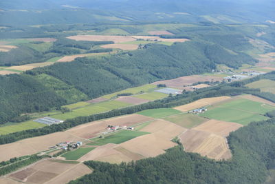 High angle view of agricultural field