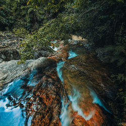 View of waterfall in forest