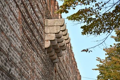 Low angle view of a wall