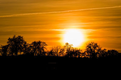Silhouette trees against sky during sunset