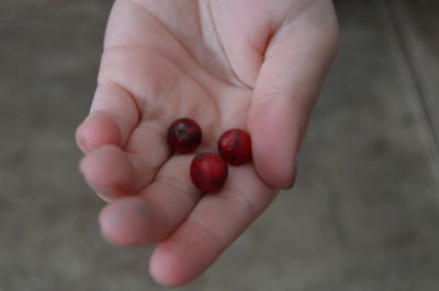 Close-up of hand holding strawberry