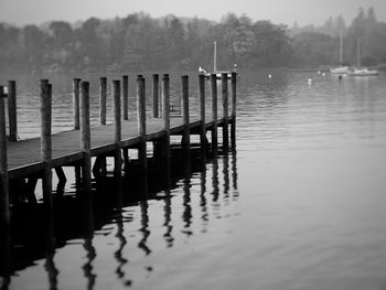 Pier on lake