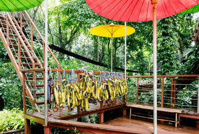 Harness belts hanging on railing by parasols in forest