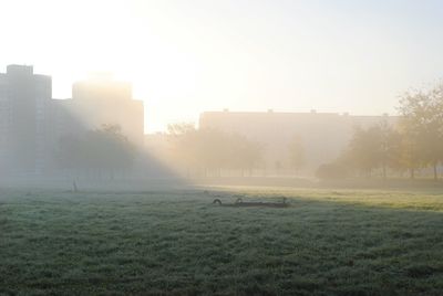 Built structure on grassy field