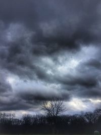 Silhouette of bare tree against cloudy sky