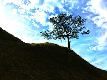 Low angle view of tree against sky