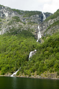 Scenic view of waterfall in forest