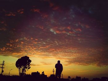 Silhouette of trees against dramatic sky