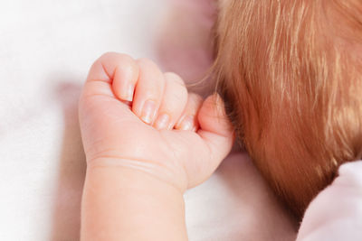 Cropped image of woman holding hair