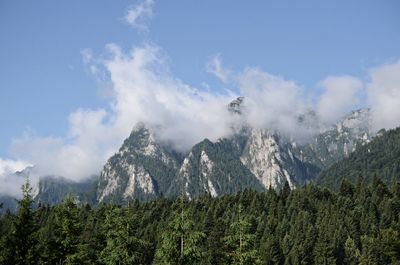 Panoramic view of landscape against sky