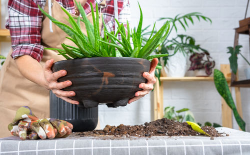 Midsection of woman holding potted plant