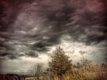 Low angle view of trees against cloudy sky