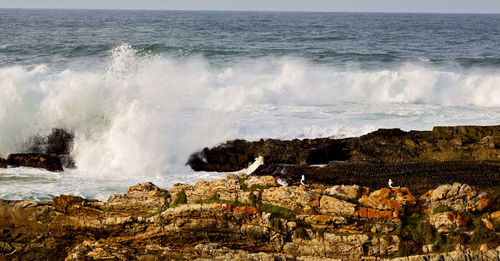 Panoramic view of waves breaking on rocks