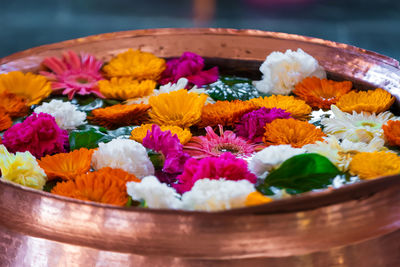 Close-up of multi colored flowers in bowl