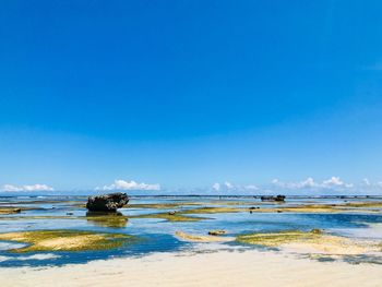 Scenic view of beach against blue sky