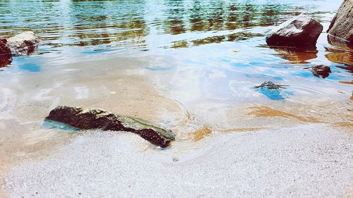 High angle view of water