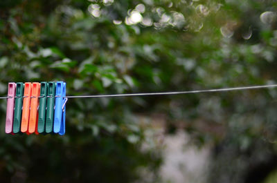 Close-up of clothesline hanging on rope