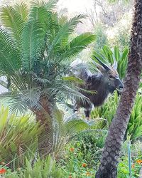 Bird perching on a tree