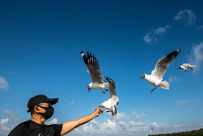 Seagulls flying in the sky, chasing after food that a man feed on them.