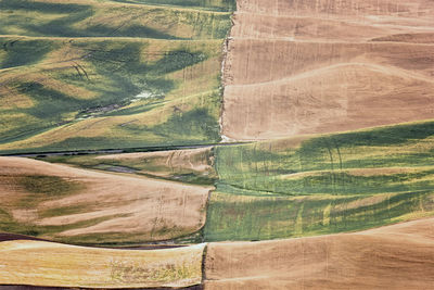 Scenic view of agricultural field