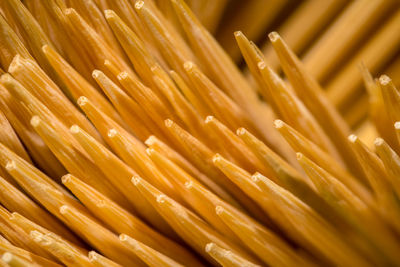 Close-up of toothpicks