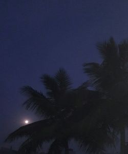 Low angle view of silhouette palm trees against sky at night