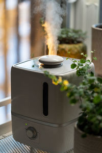 Steam from humidifier, moistens dry air surrounded by indoor houseplants. home garden, plant care