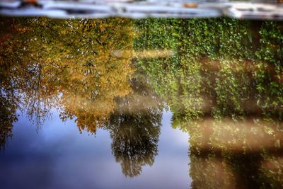 Reflection of trees on wet lake during rainy season