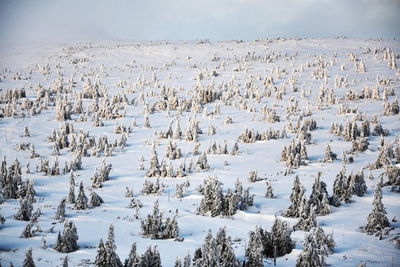 Scenic view of snow covered land against sky