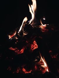 Close-up of bonfire at night