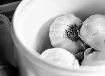 High angle view of garlic bulbs on containers