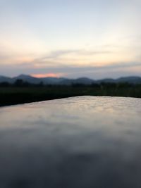 sunlight