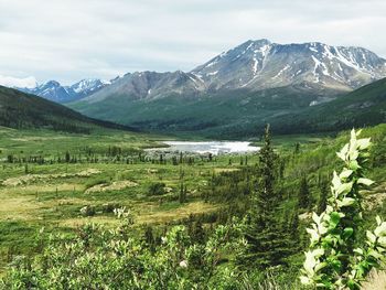 Scenic view of landscape and mountains against sky