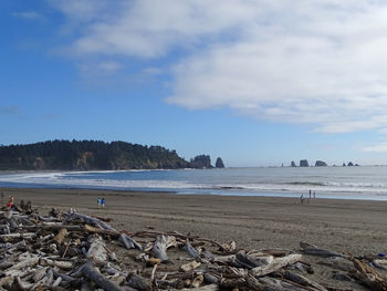 Scenic view of beach against sky