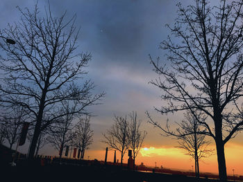 Low angle view of silhouette bare trees against sky during sunset