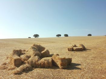 Hay bales on field against clear sky