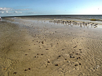 Scenic view of beach against sky