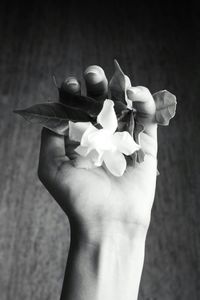 Close-up of white flowers
