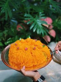 Close-up of hand holding orange flower