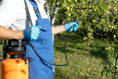 Pesticide, insecticides or herbicide glyphosate spraying. non-organic fruits.