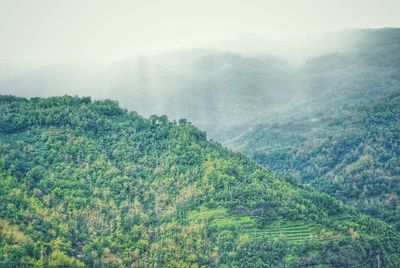 High angle view of trees and mountains during foggy weather