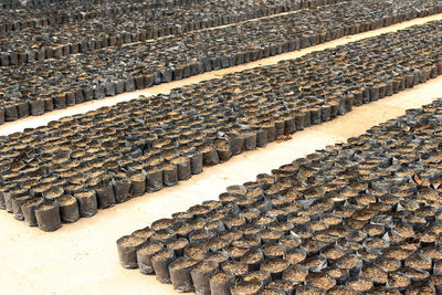 Rows of soil in black bags for seeding