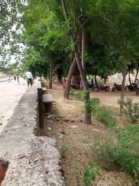 People walking in park