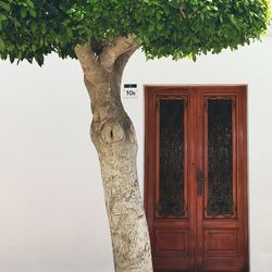 Close-up of door of house