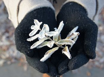 Close-up of human hand