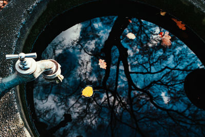 Low angle view of wheel by trees