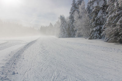 Cross-country ski trail in winter in chamrousse in the belledonne massif