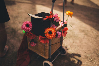 Close-up of flowers in basket